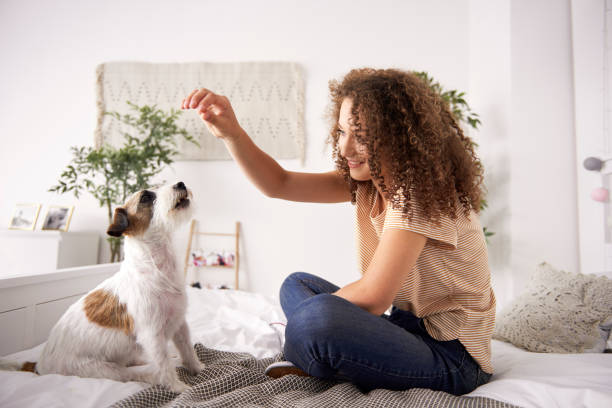 Dog with trainer